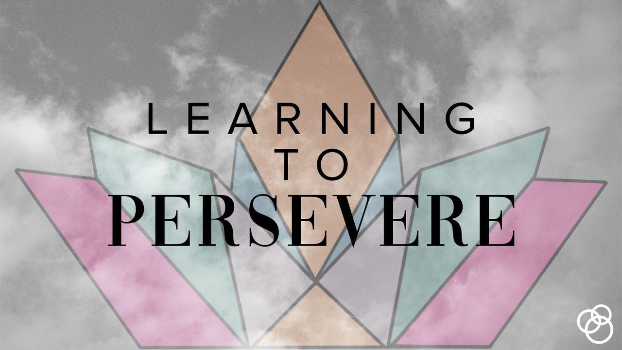 Learning to Persevere 