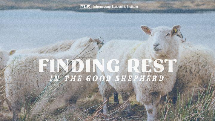 Finding Rest in the Good Shepherd