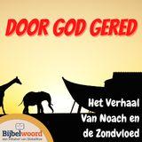 Door God gered. Het verhaal van Noach en de zondvloed.