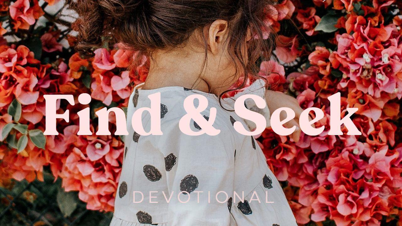 Find & Seek