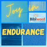Joy in Endurance