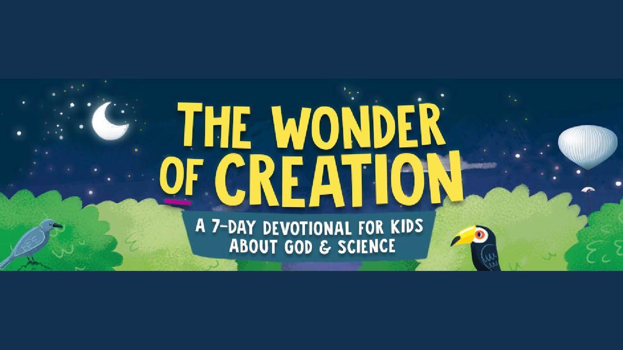 The Wonder of Creation
