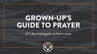 Grown Up's Guide to Prayer Luke 18:22-30 Amplified Bible