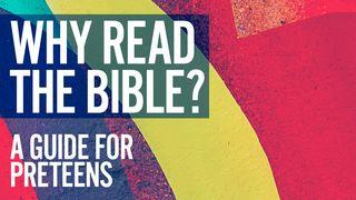 Why Read the Bible? A Guide for Preteens