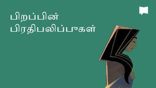 BibleProject | பிறப்பின் பிரதிபலிப்புகள்  БИТИЕ 3:6 Библейска лига - ревизия 2001