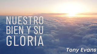 Nuestro Bien Y Su Gloria Romanos 8:24-27 Biblia Dios Habla Hoy