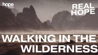 Walking in the Wilderness Лука 5:15 Сибэтиэй Биибилийэ кинигэлэрэ