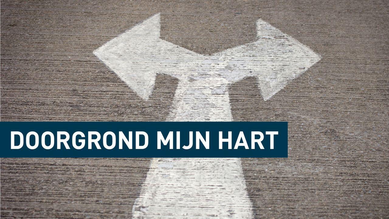 God, toets mijn hart