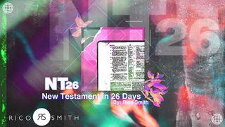 NT26 (New Testament in 26 Days) 
