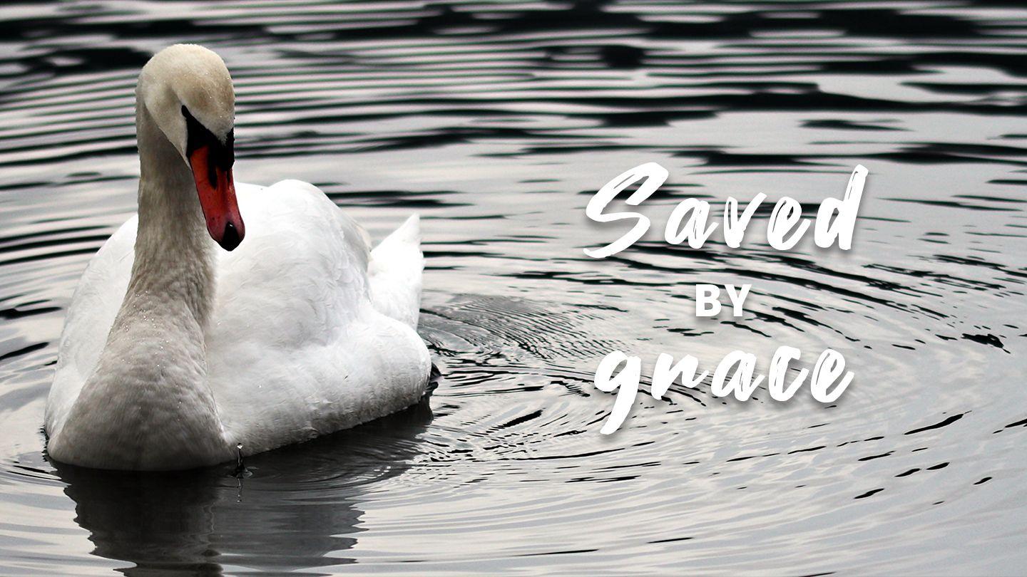 Saved by Grace James 4:6-8 New Living Translation