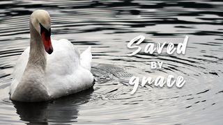 Saved by Grace James 4:6-10 Christian Standard Bible