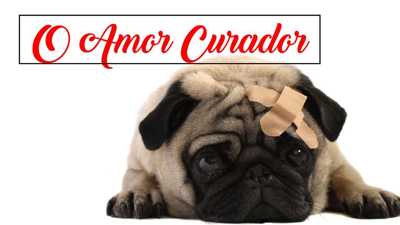 O Amor Curador