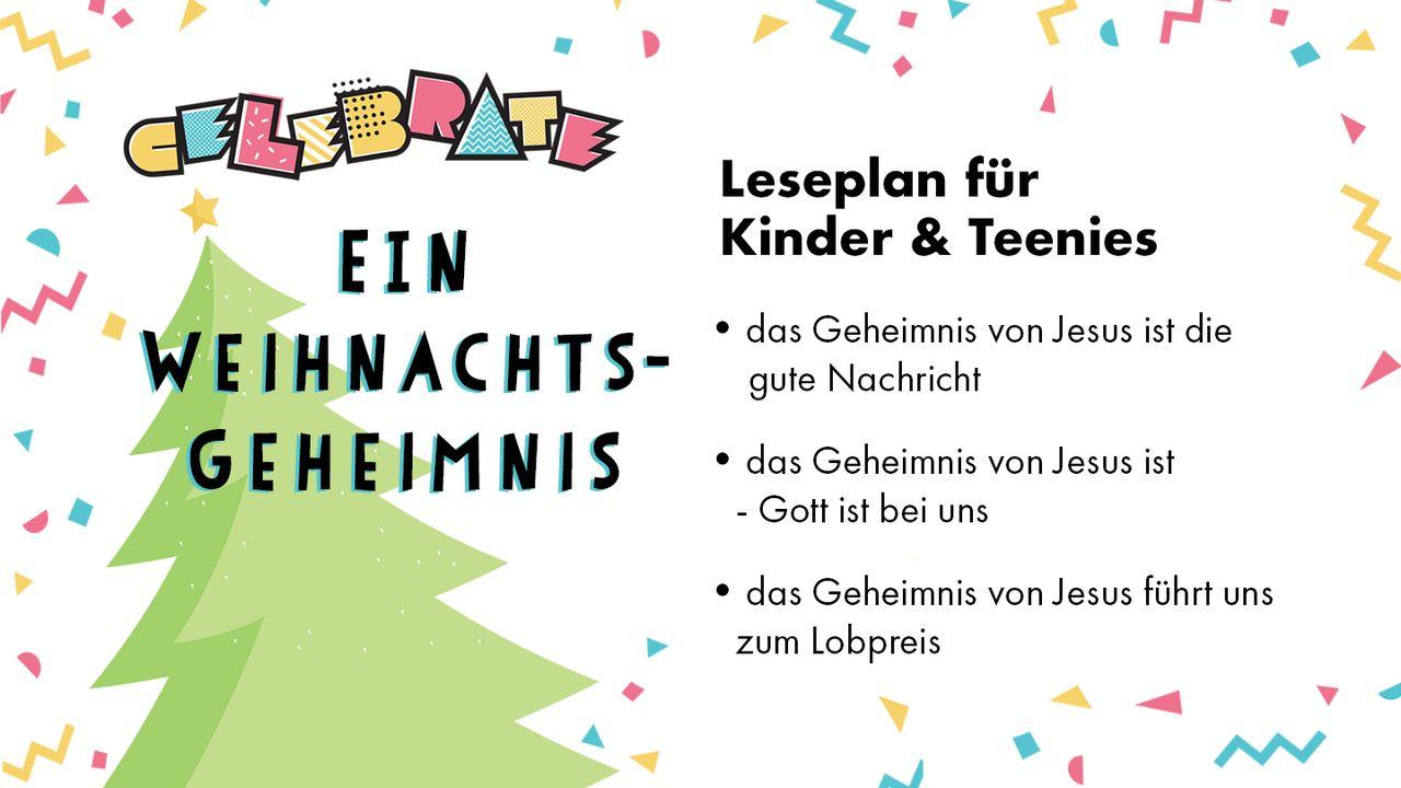 Ein Weihnachtsgeheimnis