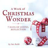 A Week of Christmas Wonder