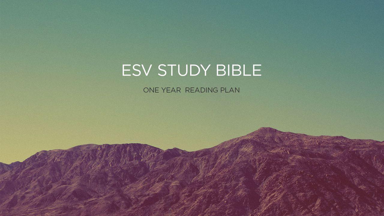 ESV Study Bible