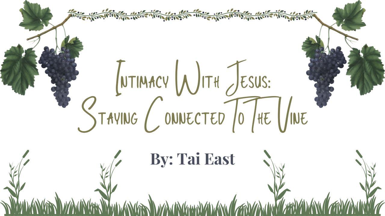 Intimacy With Jesus: Staying Connected to the Vine