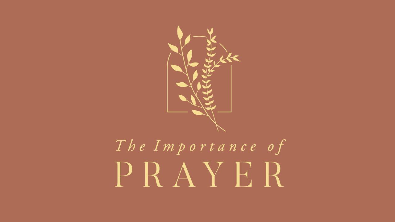 Love God Greatly - the Importance of Prayer: Approaching the Throne of Grace