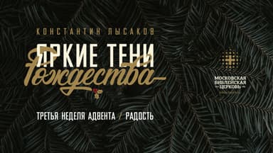 Яркие тени Рождества. часть 3: радость