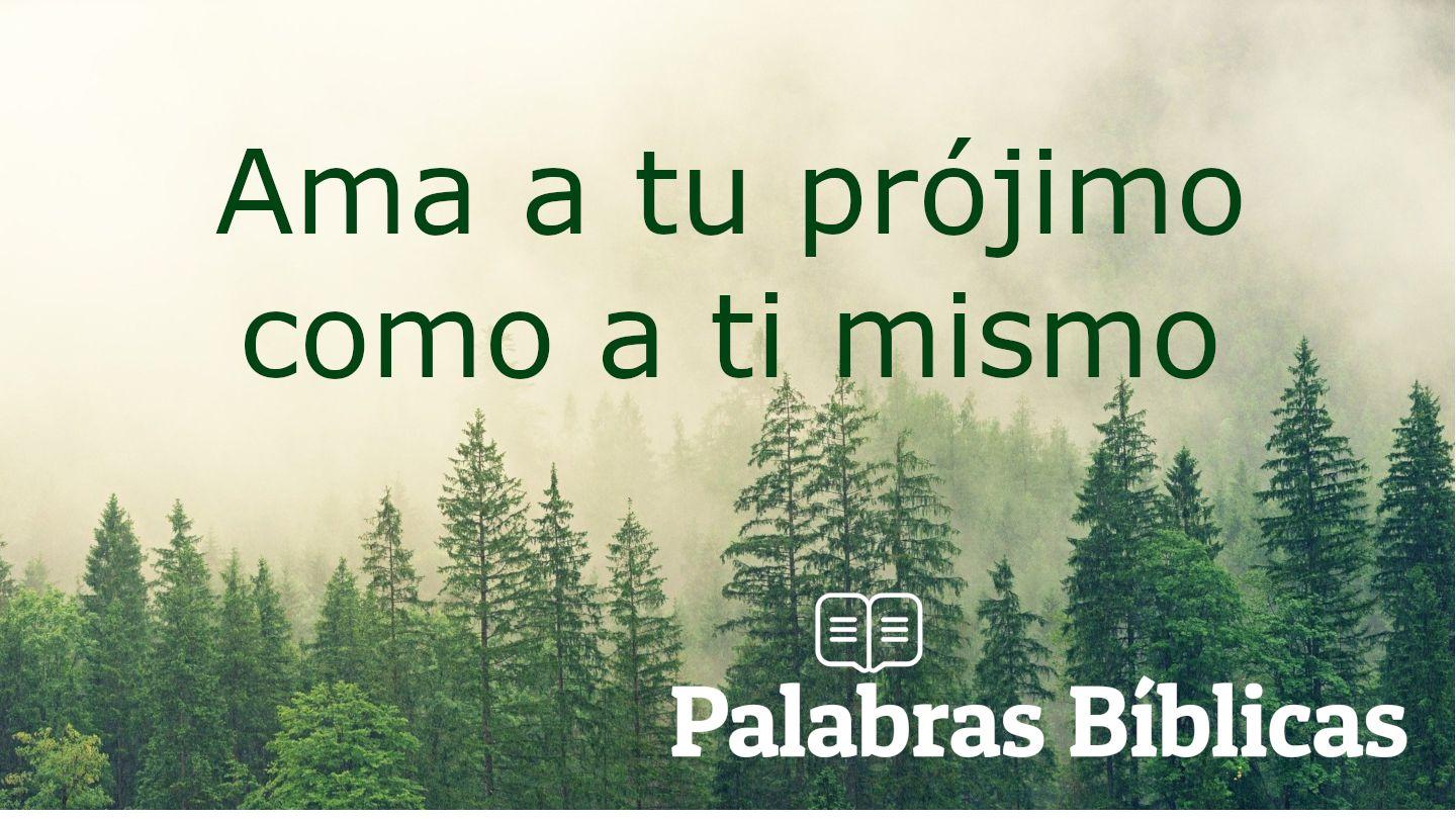 Ama a Tu Prójimo Como a Ti Mismo Lucas 10:25 Nueva Traducción Viviente