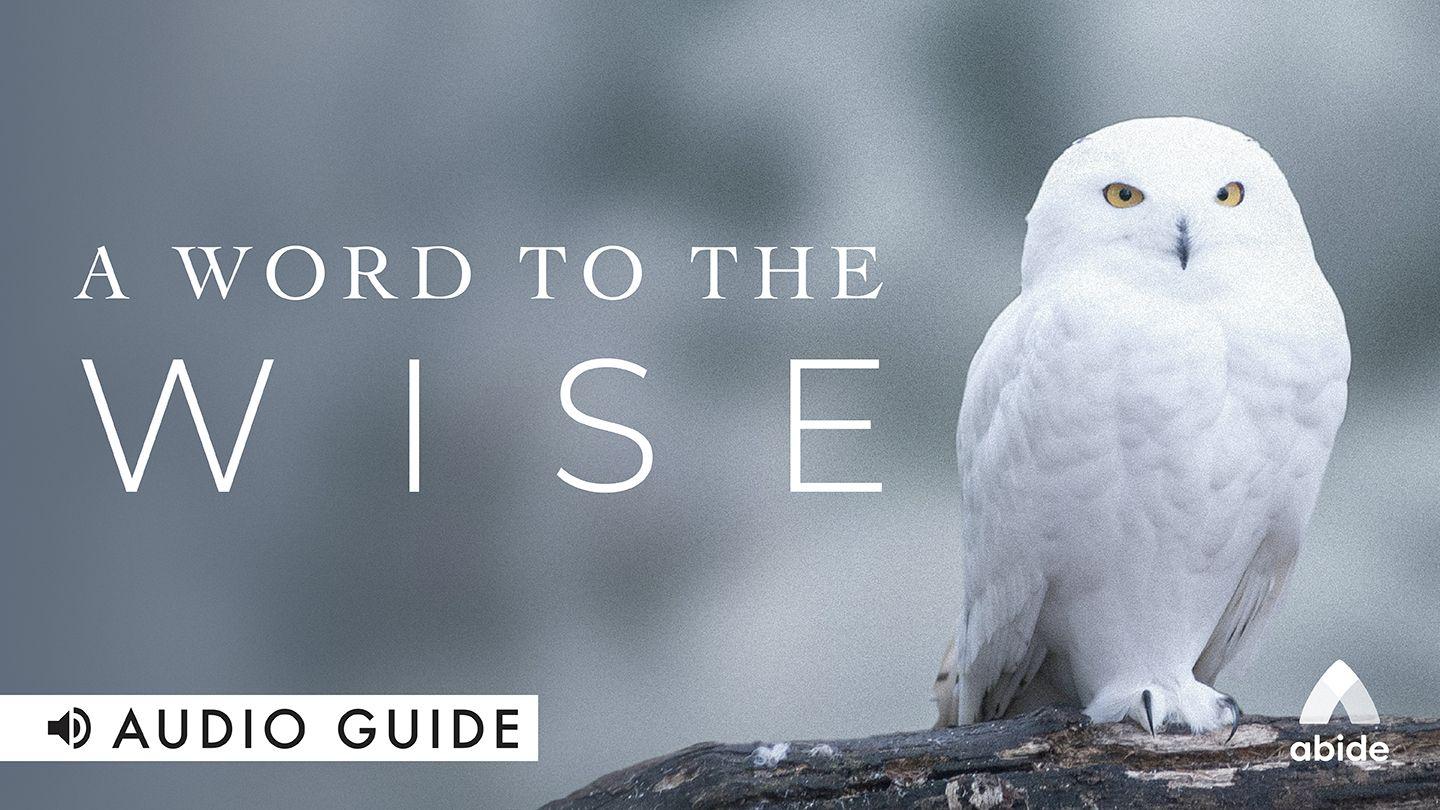 A Word to the Wise 1 Peter 2:15-17 King James Version