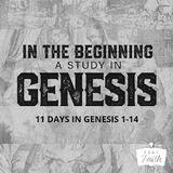 In the Beginning: A Study in Genesis 1-14