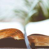 Durch die Bibel lesen - Galater, Epheser, Philipper, Kolosser