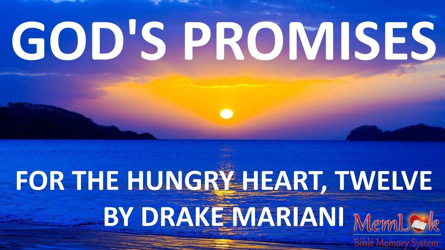 God's Promises For The Hungry Heart, Twelve 2 PETRUS 1:3-4 Afrikaans 1983