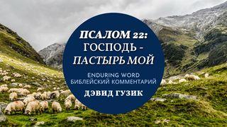 Псалом 22. Господь – Пастырь мой Иохан 14:3 Восточный перевод