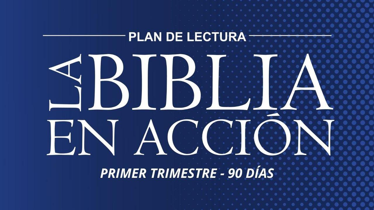 La Biblia en acción