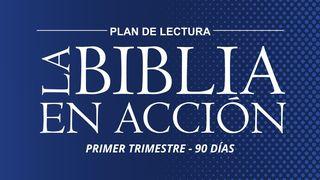 La Biblia en acción 