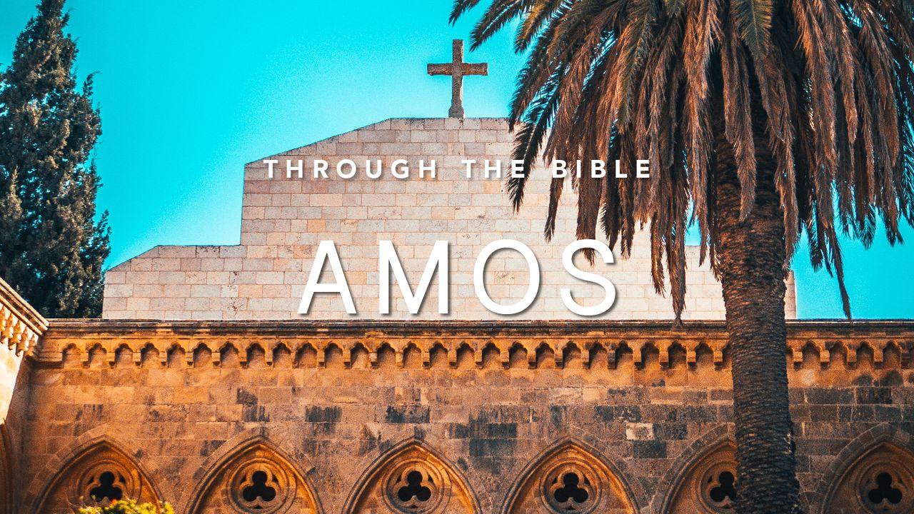 Through the Bible: Amos