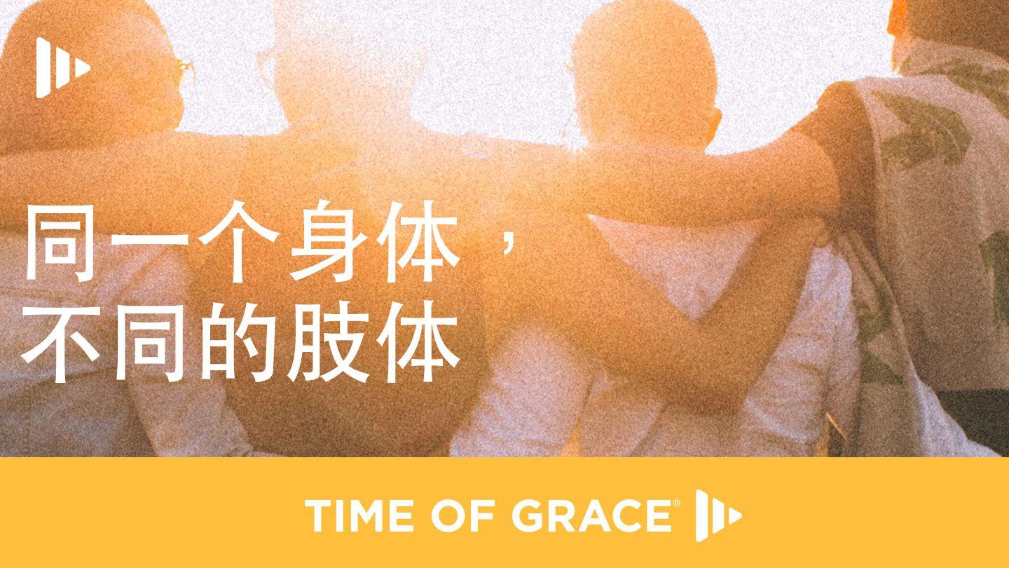 同一个身体，不同的肢体 诗篇 139:14 和合本修订版