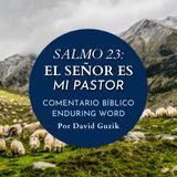 Salmo 23 – El Señor Es Mi Pastor