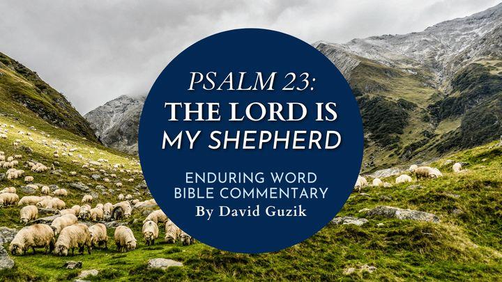 Psalm 23: The Lord Is My Shepherd