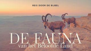 De fauna van het beloofde land