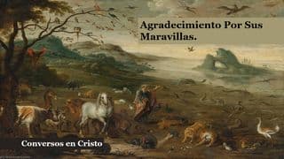 Agradecimiento Por Sus Maravillas.