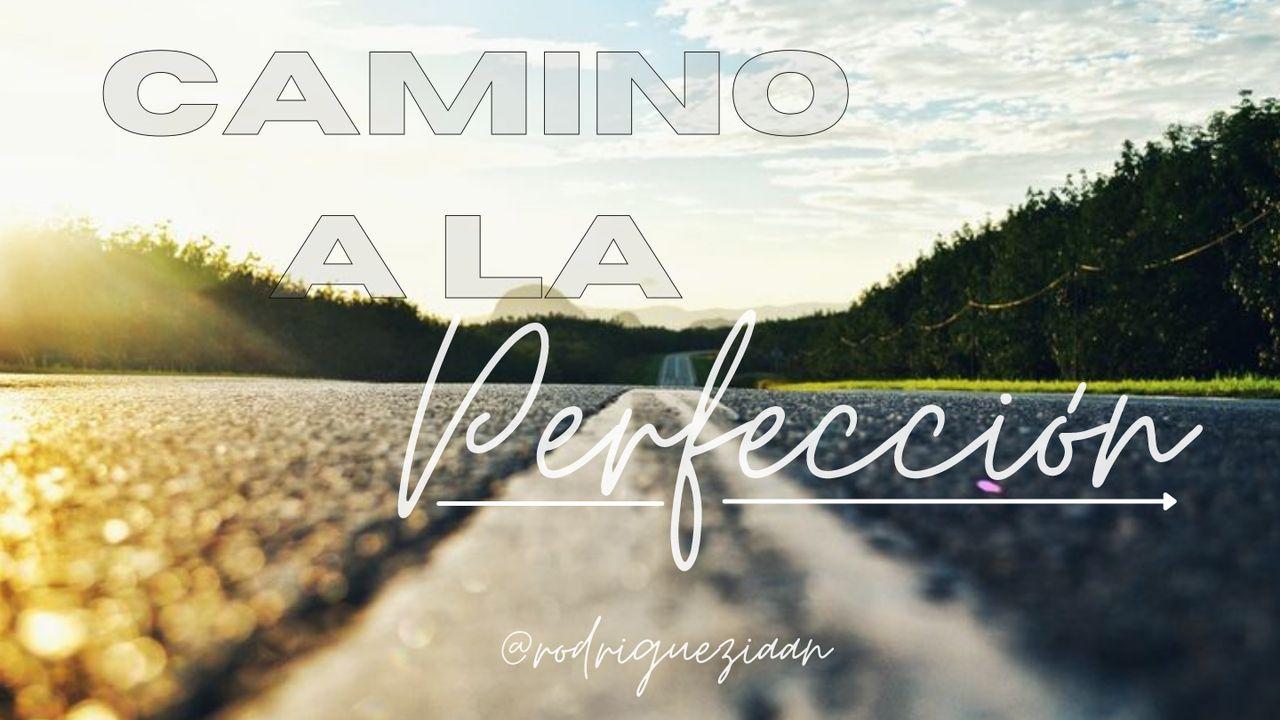 Camino a La Perfección 