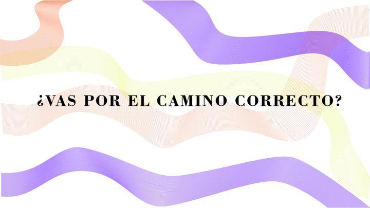 Vas Por El Camino Correcto