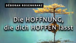 Die Hoffnung, die dich hoffen lässt  Mathewu 11:28 Baasraak Zulu New Testament Bible