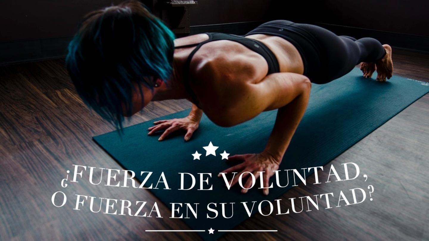 ¿Fuerza De Voluntad, O Fuerza en Su Voluntad? San Mateo 7:13 Guaraní Pe (Western): Simba