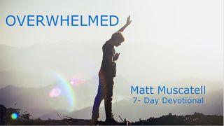 Overwhelmed 民数记 13:28-29 新译本