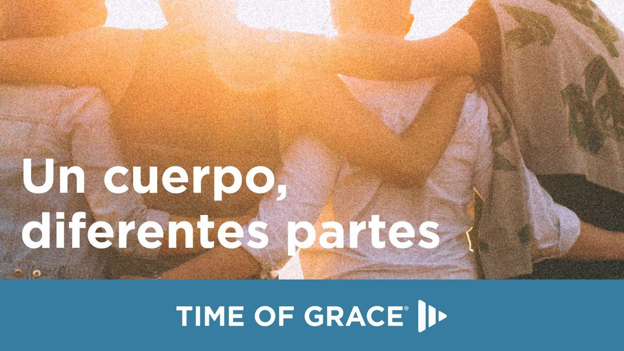 Un cuerpo, diferentes partes