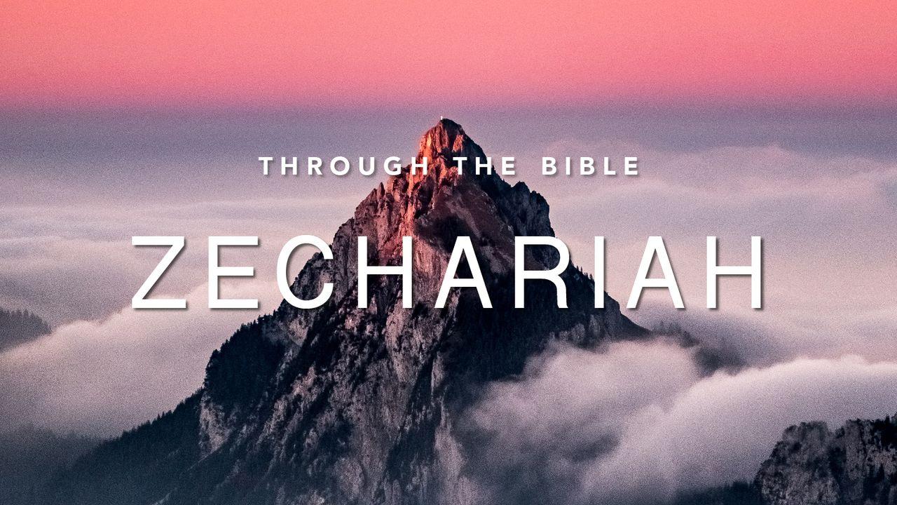 Through the Bible: Zechariah