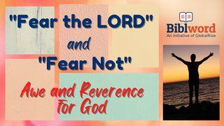 Fear the Lord and Fear Not; Awe and Reverence for God Job 28:23-24 New King James Version