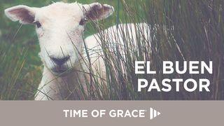 El Buen Pastor San Mateo 18:12-17 Biblia Dios Habla Hoy