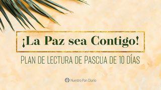¡La Paz Sea Contigo! Juan 20:11-20 Nueva Traducción Viviente