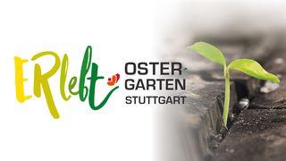 ERlebt - über den Tod hinaus Johannes 19:30 Elberfelder Übersetzung (Version von bibelkommentare.de)