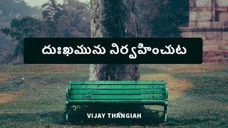 దుఃఖమును నిర్వహించుట Yozhanq Saw 11:11 Gij Baujcingq Moq Caeuq Geij Bonj Gij Baujcingq Daeuzdaeuz
