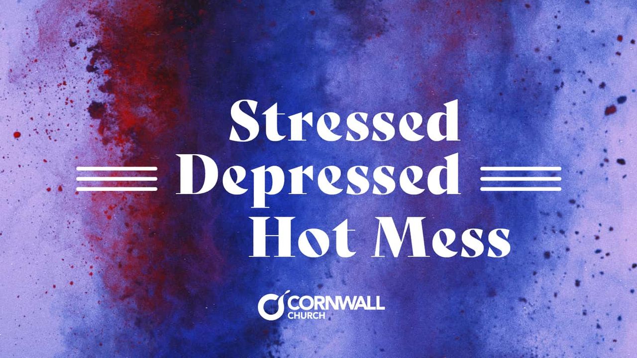Stressed, Depressed, Hot Mess