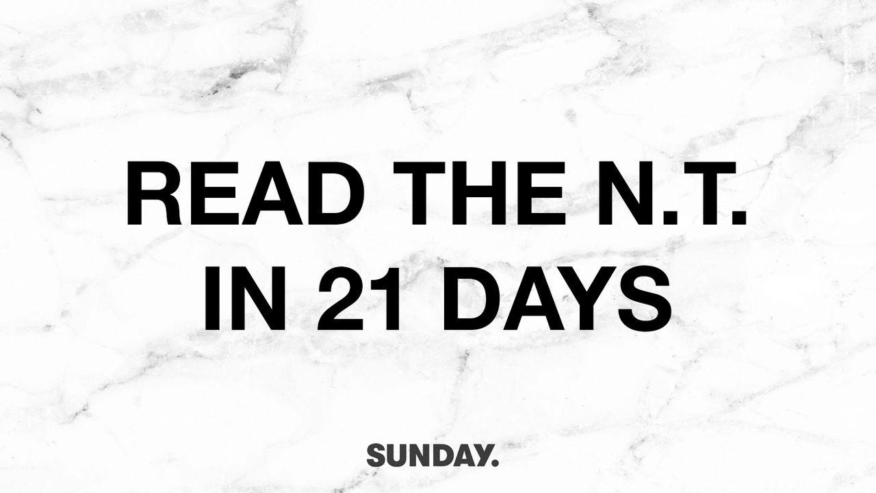 The Bible Study: 21 Days